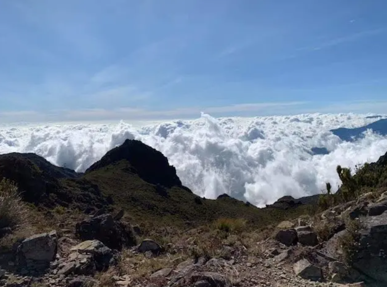 Cerro Chirripó, San José Province, Costa Rica